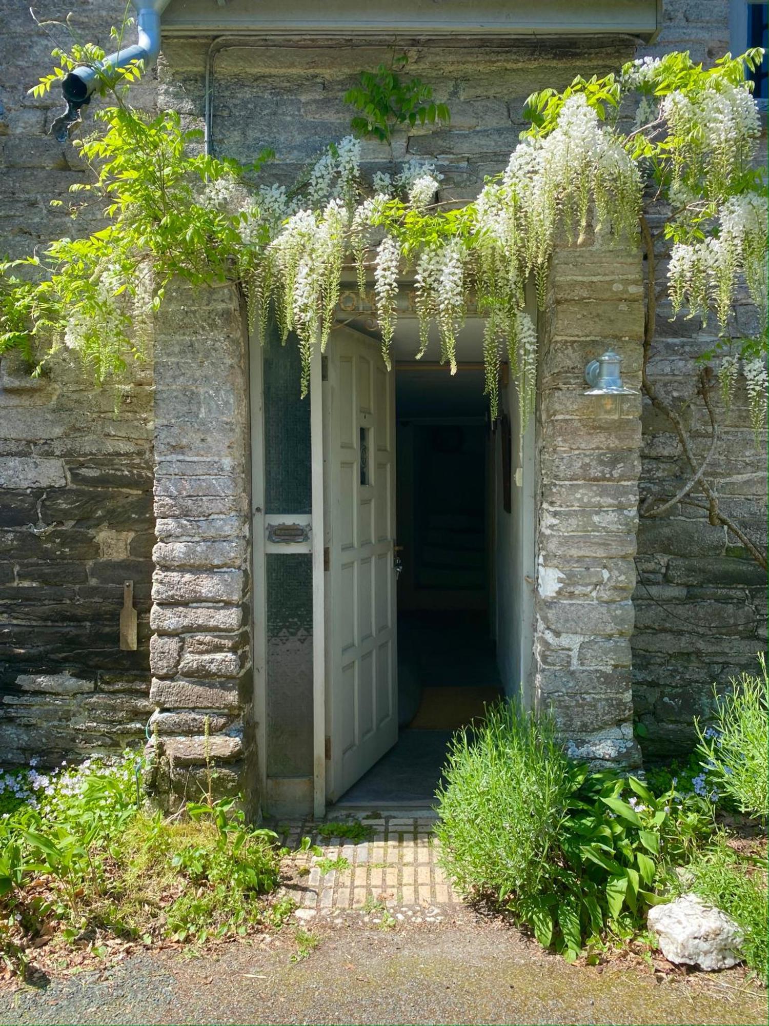 Home Farm - Theundergroundstream Churchstow Εξωτερικό φωτογραφία